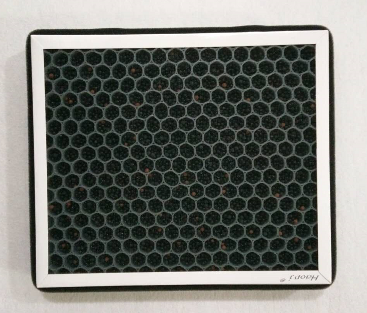 DG9H-18D483-BA Cabin Filter