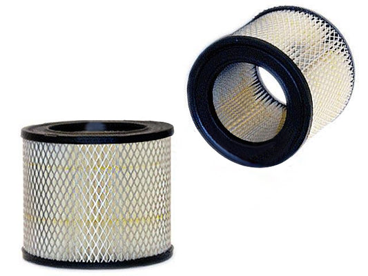 25043119 Hochwertiger Auto-Luftfilter für GM