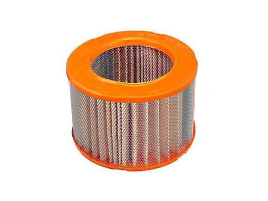 25095707 Hochwertige Autoteile Autoluftfilter für CHEVROLET Beretta, PONTIAC Tempest (Kanada)