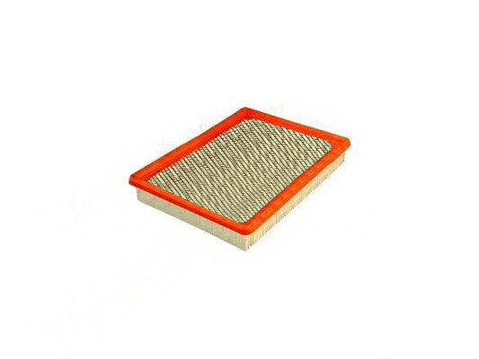 25096932 Hochwertige Autoteile-Autoluftfilter für BUICK CADILLAC